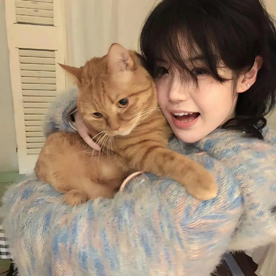 钢铁侠：噬甲危机